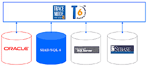 Database connectivity